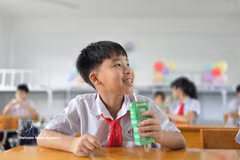 Formal corporate commitments to children’s rights remain low in Vietnam, a new UNICEF study finds. In the photo: Pupils drink milk at Le Thanh Tong interlevel school in Quang Ninh province. (Photo: VNA)