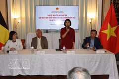 Ambassador Nguyen Huong Tra briefs representatives of the Vietnamese communities in Belgium and Luxembourg on the country's situation. (Photo: VNA) 