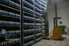 A worker handles and stacks goods. Nearly 138,100 businesses were newly founded from January to August, up 7.7% over the same period last year, while more than 40,800 businesses completed dissolution procedures, a jump of 125.5%. (Photo: VNA)