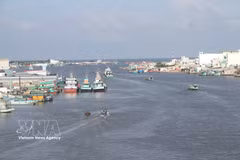 Song Doc estuary, a busy gateway for fishing vessels entering and leaving Ca Mau province. (Photo: VNA)