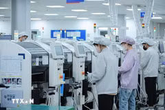 The bulk of European capital has been directed towards processing and manufacturing, energy and gas, real estate, and information and communications. (Illustrative photo: VNA)