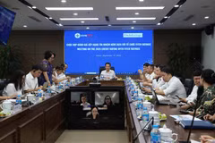 Nguyen Duc Thien, General Director of Vietnam Electricity (EVN)’s Northern Power Corporation (centre), chairs the working session with credit rating organisation Fitch Ratings (Photo: npc.com.vn)