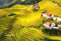 Terraced fields in Ha Giang 1 ward, Tuyen Quang province (Photo: VNA)