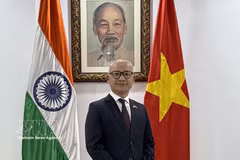 Vietnamese Ambassador to India Trinh Minh Manh (Photo: VNA)