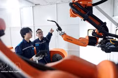 Strategic “Make in Vietnam” products: Businesses at the core