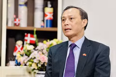 Former Vietnamese Ambassador to Denmark Luong Thanh Nghi (Photo: VNA)