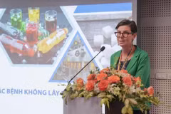 Dr Angela Pratt, WHO Representative in Vietnam (Photo: VietnamPlus)