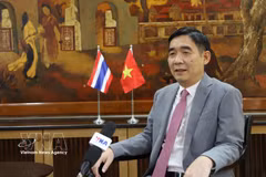 Vietnamese Ambassador to Thailand Pham Viet Hung talks to Vietnam News Agency correspondents in Bangkok (Photo: VNA)