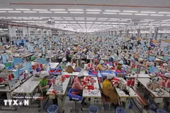 SCAVI Hue, a wholly French-invested company owned by Financière B’Lao, specialises in manufacturing underwear, sportswear and protective clothing at Phong Dien Industrial Park in Hue. (Photo: VNA)
