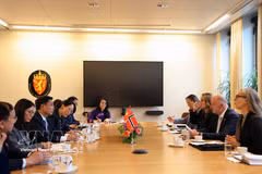 Vice President of the Vietnamese National Assembly (NA) Nguyen Doan Anh holds talks with First Vice President of the Norwegian Storting (Parliament) Morten Stordalen. (Photo: VNA)