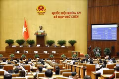The Law on amendments and supplements to several articles of the Law on Vietnamese Nationality is approved by the National Assembly on June 24. (Photo: VNA)