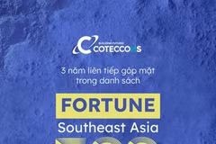 Coteccons has steadily climbed the Fortune Southeast Asia 500 2026, moving up 19 spots year-over-year and a 91-position ascent since joining the rankings.