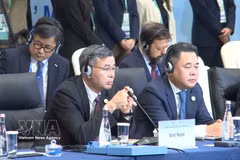Vietnamese Minister of Finance Ngo Van Tuan (left) attends the 33rd APEC Finance Ministers' Meeting in Hong Kong (China). (Photo: VNA)