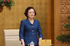 Deputy Prime Minister Pham Thi Thanh Tra speaks at the conference (Photo: VNA)