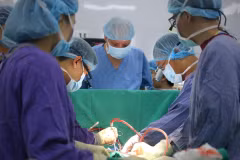 Doctors perform an organ transplant. (Photo: VietnamPlus)