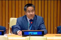 Minister Counsellor Nguyen Hai Luu, Deputy Permanent Representative of Vietnam to the UN (Photo: VNA)