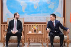 Deputy Prime Minister Ho Duc Phoc (right) meets with Marco Dal Lago, Vice President for Global Expansion and Strategic Partnerships at Tether Group on October 9 (Photo: VNA)