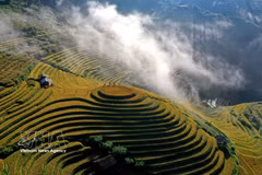 Every year, from September to October, terraced rice fields in Mu Cang Chai and Pung Luong communes, Lao Cai province, turn a golden yellow, creating a spectacular landscape across the northwestern mountains. (Photo: VNA)