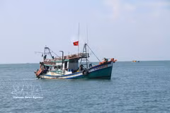 Localities have been demanded to review records of fishing vessels leaving and entering ports, ensuring sufficient and consistent data and clarifying discrepancies between archived records and information on the management system. (Illustrative photo: VNA)