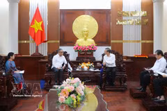 At the meeting (Photo: VNA)