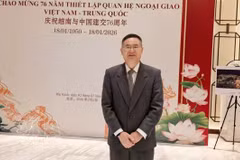 Prof. Dr. Cheng Hanping, Executive Director of the Institute of Regional and Country Studies and Director of the Vietnam Research Centre at China's Zhejiang University of Technology (Photo published by VNA)