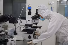 A semiconductor technology laboratory of the SHTP Research and Development Centre is equipped with modern facilities (Photo: VNA) 
