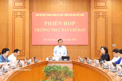 Politburo Member and Standing Member of the Party Central Committee’s Secretariat and Head of the Central Steering Committee for the Development of Vietnamese Culture Tran Cam Tu speaks at the meeting. (Photo: VNA)