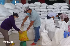 Distributing rice to people in need in Dak Lak province. (Photo: VNA)