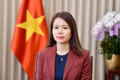 Deputy Minister of Foreign Affairs Nguyen Minh Hang. (Photo courtesy of the Ministry of Foreign Affairs)