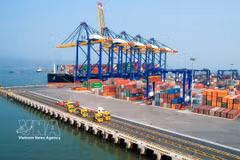 Import-export activities at Lach Huyen international port in Hai Phong (Photo: VNA)