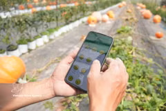 Vietnam is stepping up sci-tech application in agriculture. (Illustrative photo: VNA)