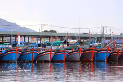 Quang Tri province has instructed departments and coastal localities to review the entire fleet and identify ineligible vessels, assigning commune-level authorities primary responsibility for enforcement. (Illustrative photo: VNA)