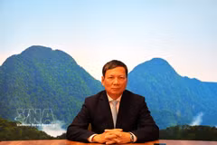 Hoang Dinh Thang, Chairman of the Union of Vietnamese Associations in Europe and member of the Presidium of the Vietnam Fatherland Front Central Committee (Photo: VNA)