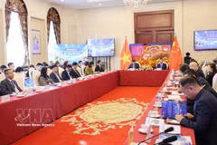 An overview of the seminar (Photo: VNA)