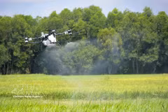An unmanned aerial vehicle (UAV) sprays plant protection products over a field in Hoa Hoi commune, Tay Ninh province. (Photo: VNA)
