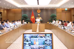 Deputy Prime Minister Le Tien Chau speaks at the meering (Photo: VNA)