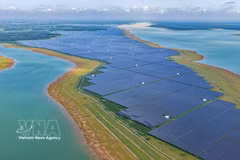 The Dau Tieng 1, Dau Tieng 2 and Dau Tieng 3 solar power plants are built on a total area of around 720 ha and once formed the largest solar power complex in Southeast Asia. (Photo: VNA)