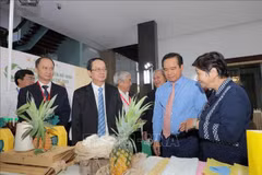 At the exhibition in HCM City on July 31. (Photo: VNA)
