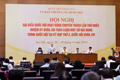 NA Standing Vice President Do Van Chien speaks at the conference. (Photo: VNA)