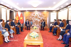 At the reception for Deputy Head of the Lao People’s Revolutionary Party (LPRP) Central Committee’s Commission for Propaganda and Training Sakhone Phommalath (Photo: VNA)