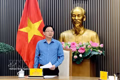 Deputy Prime Minister Ho Quoc Dung speaks at the meeting. (Photo: VNA)