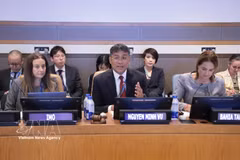 Permanent Deputy Minister of Foreign Affairs Nguyen Minh Vu speaks at the event. (Photo: VNA)