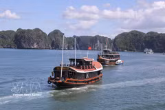 Tourists visit Cat Ba by cruise ship. (Photo: VNA)