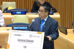 Minister Counsellor Nguyen Hai Luu, Deputy Permanent Representative of Vietnam to the United Nations, speaks at the high-level segment of the 2026 High-level Political Forum on Sustainable Development (HLPF) in New York. (Photo: VNA)
