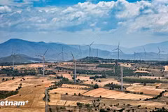 Wind power in Lam Dong province (Photo: VietnamPlus)