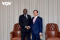 Vietnamese Minister of Foreign Affairs Bui Thanh Son (R) and Angolan Minister of External Relations Téte António. (Photo: vov.vn)