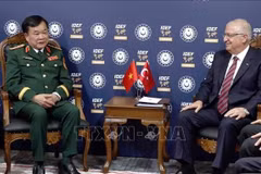 Visiting Deputy Minister of National Defence Sen. Lt. Gen. Hoang Xuan Chien (L) and Turkish Minister of National Defence Yasar Guler during their meeting on July 22.