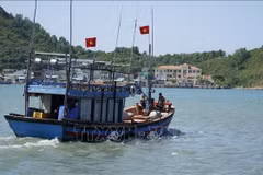 Gia Lai focuses on managing the fishing fleet, and preventing and penalising vessels and fishermen infringing foreign waters - Illustrative image (Photo: VNA)