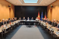 An overview of the working session (Photo published by VNA)
