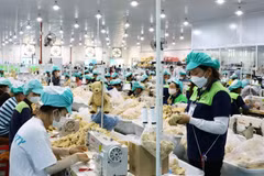Workers in the Du Long Industrial Park, Khanh Hoa province. (Photo: VNA)